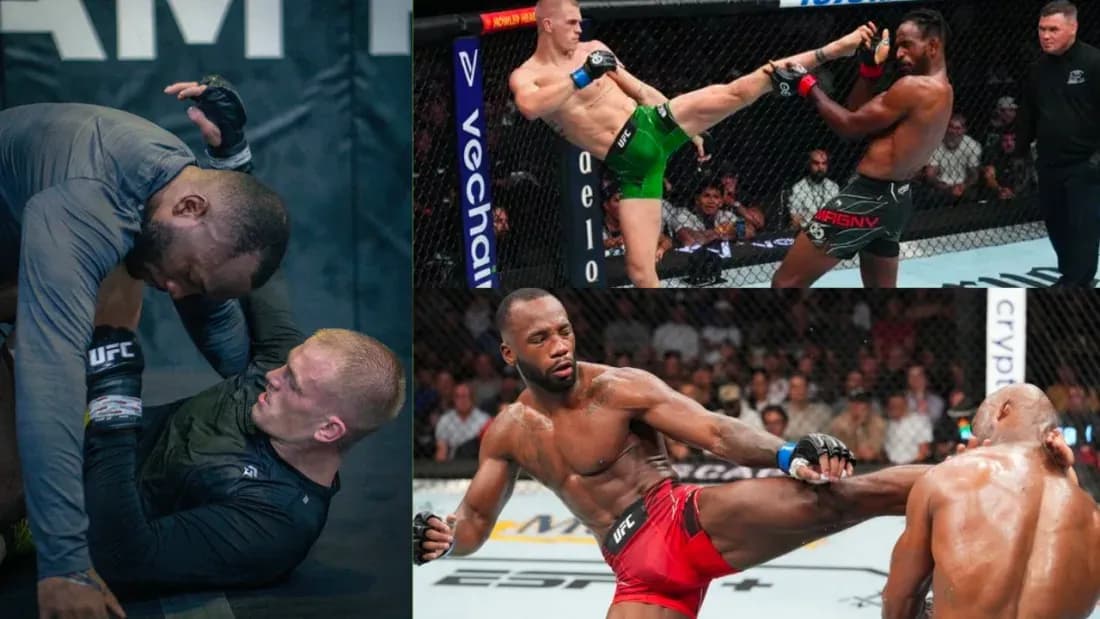 MMA article image