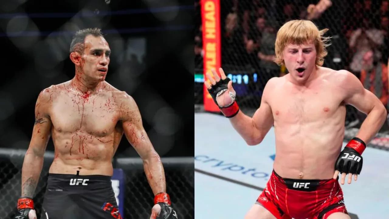 MMA article image
