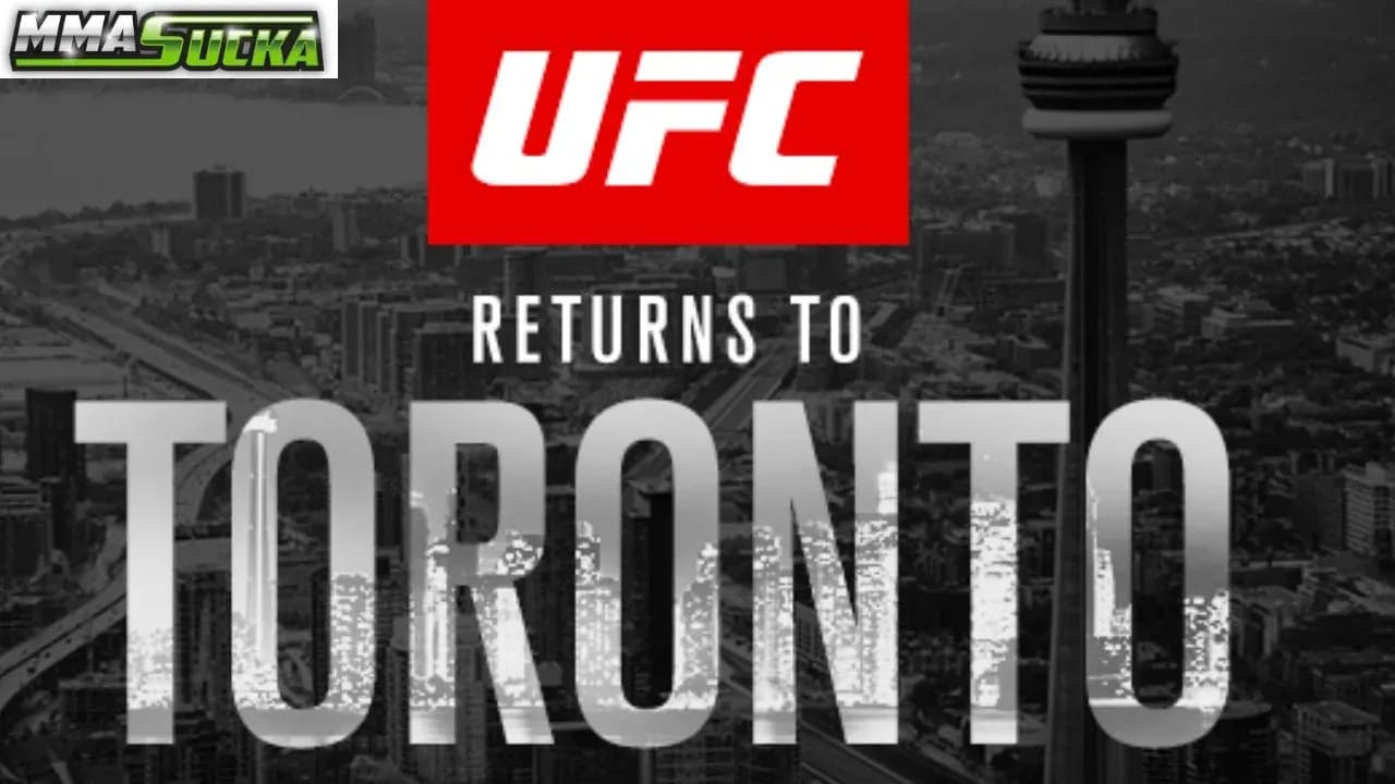 MMA article image