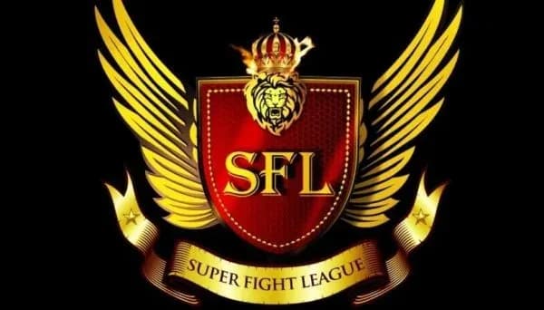 MMA article image