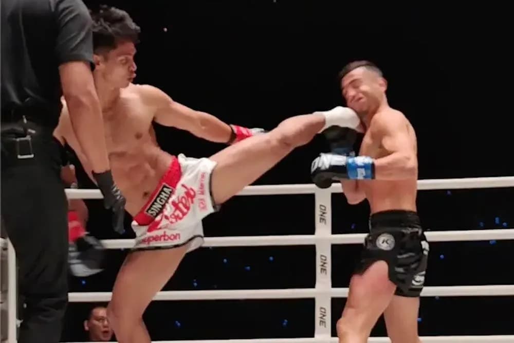 MMA article image