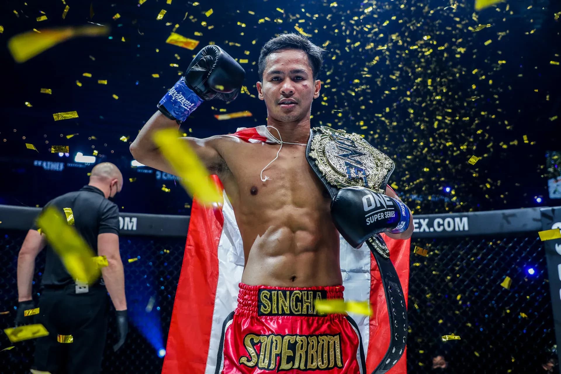 MMA article image