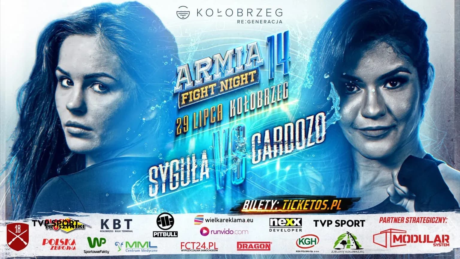 MMA article image