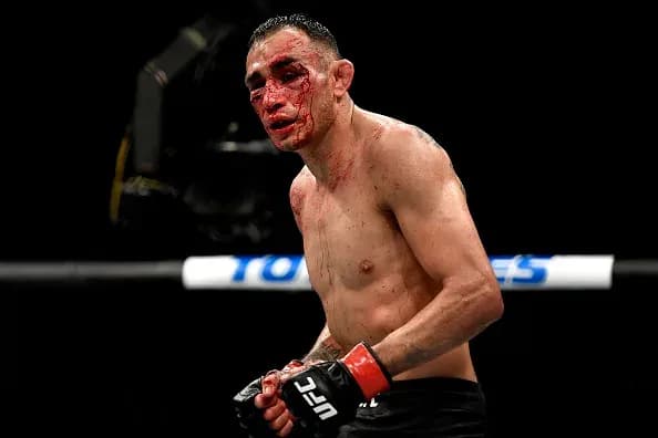 Fights to Make