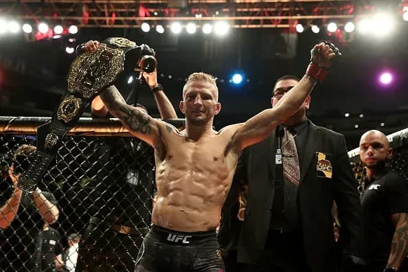 UFC 227 featured a number of strong performers like TJ Dillashaw and Renato Moicano.