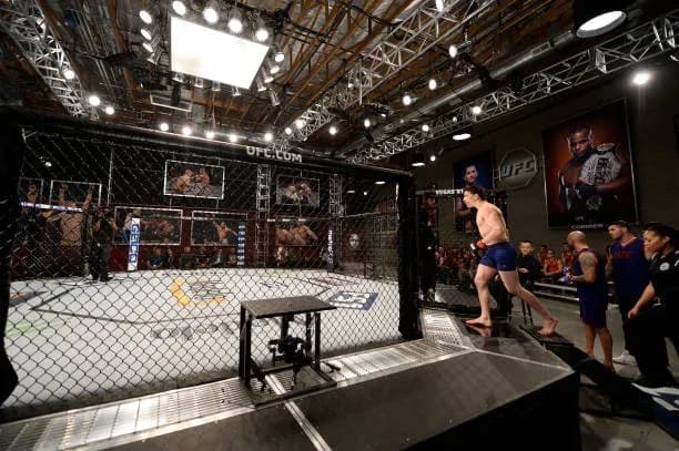 MMA article image
