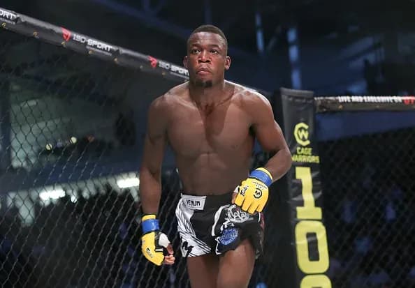 TUF 29