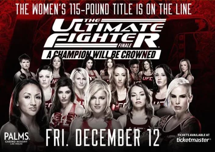 MMA article image