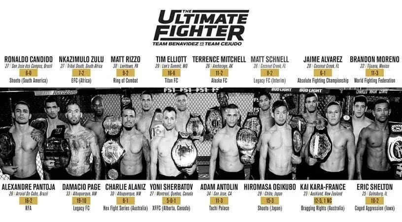 MMA article image