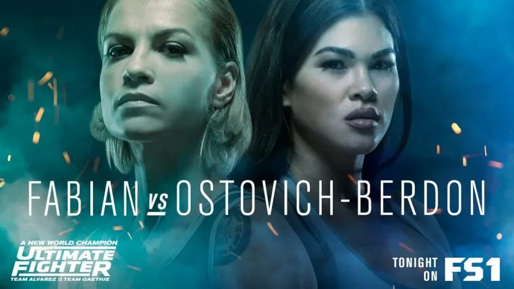 MMA article image