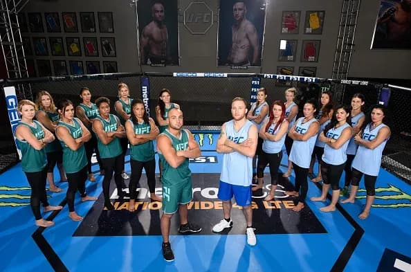 MMA article image