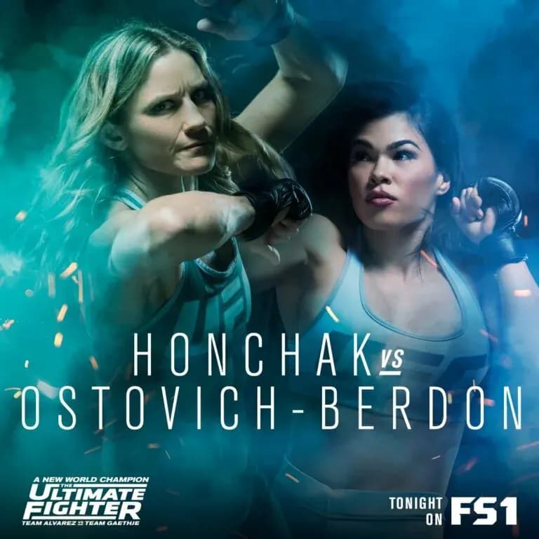 MMA article image