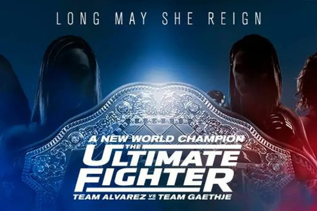 MMA article image