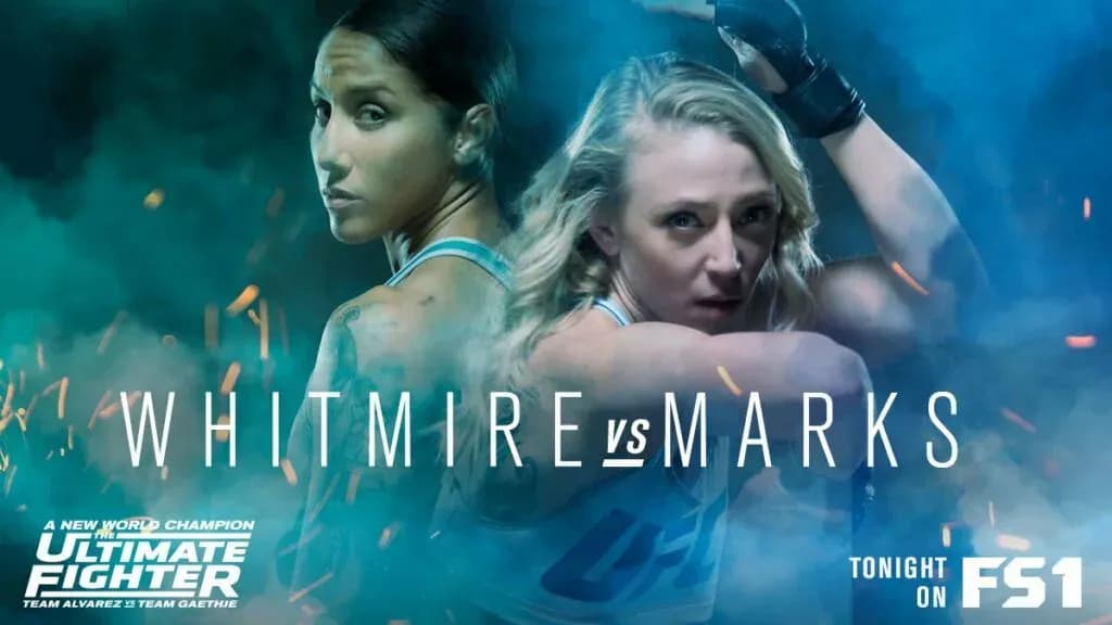 MMA article image