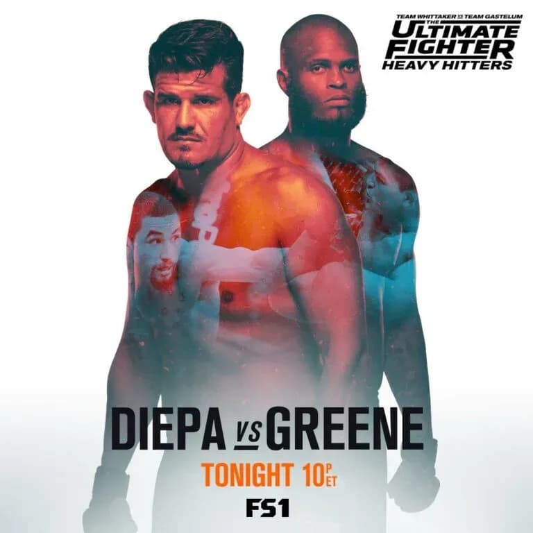 MMA article image
