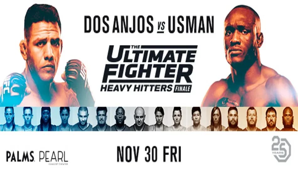 MMA article image