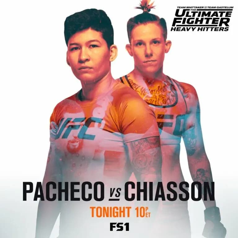 MMA article image