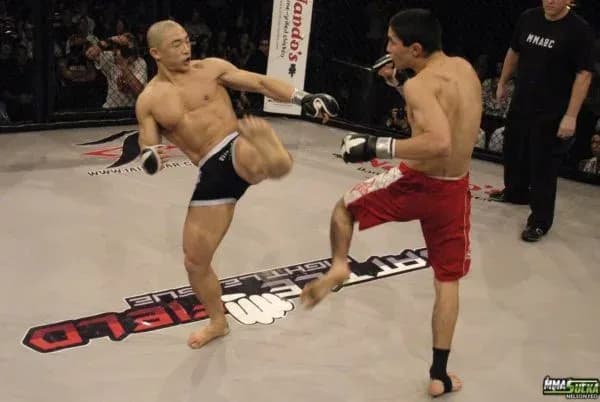 MMA article image
