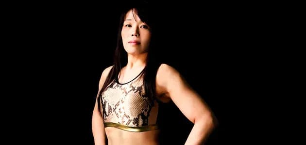MMA article image