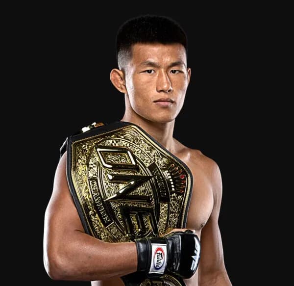 MMA article image
