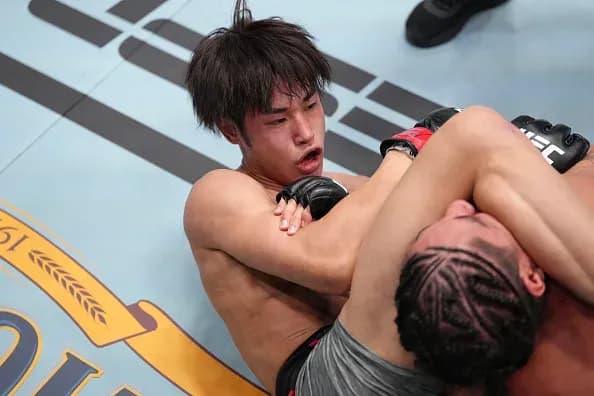 MMA article image
