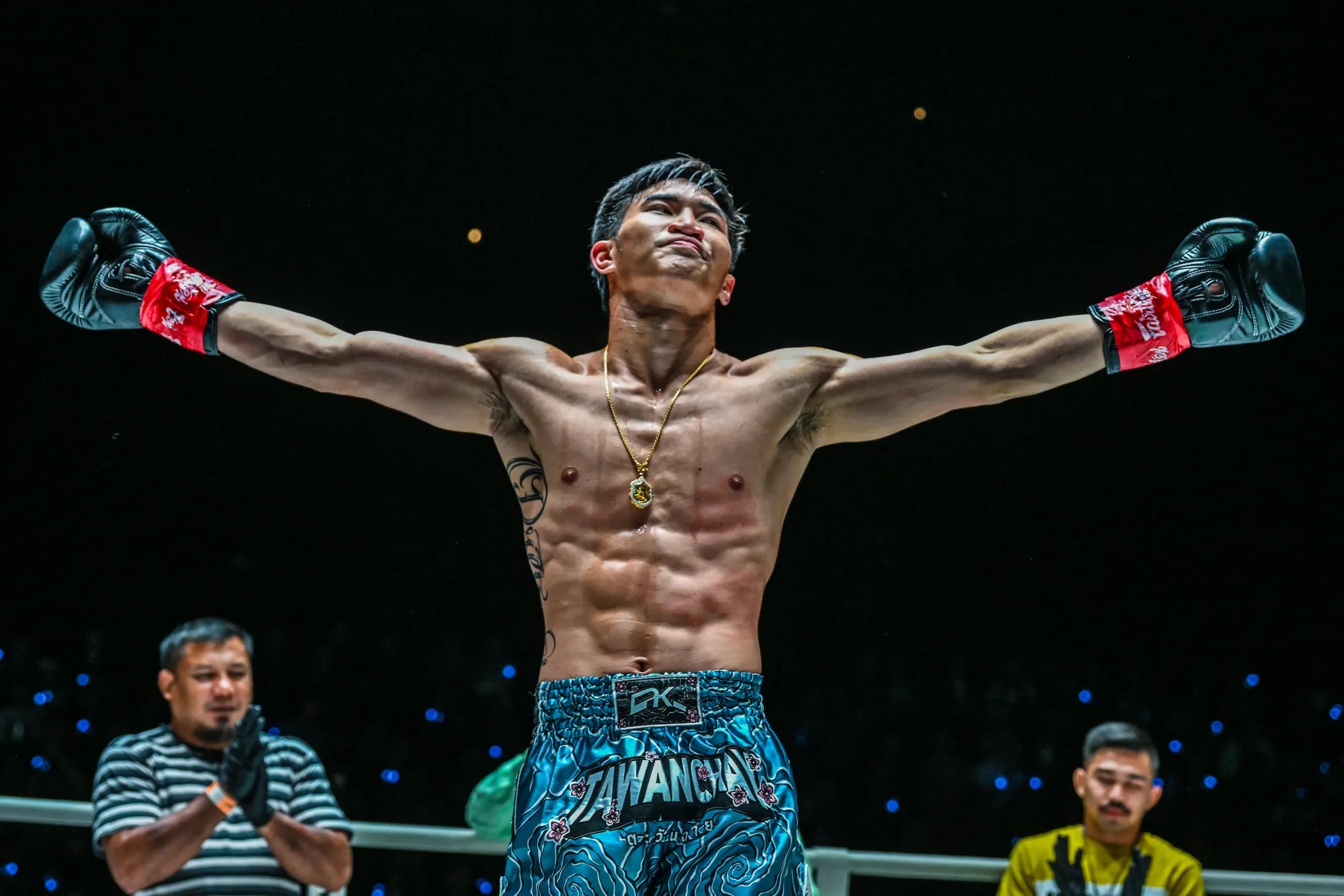 MMA article image