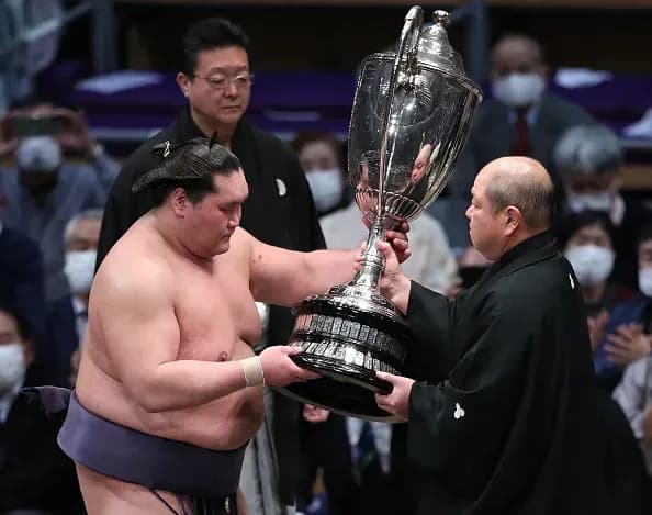 MMA article image