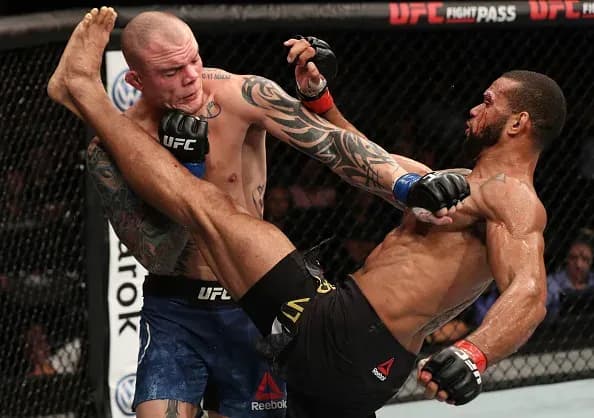 MMA article image