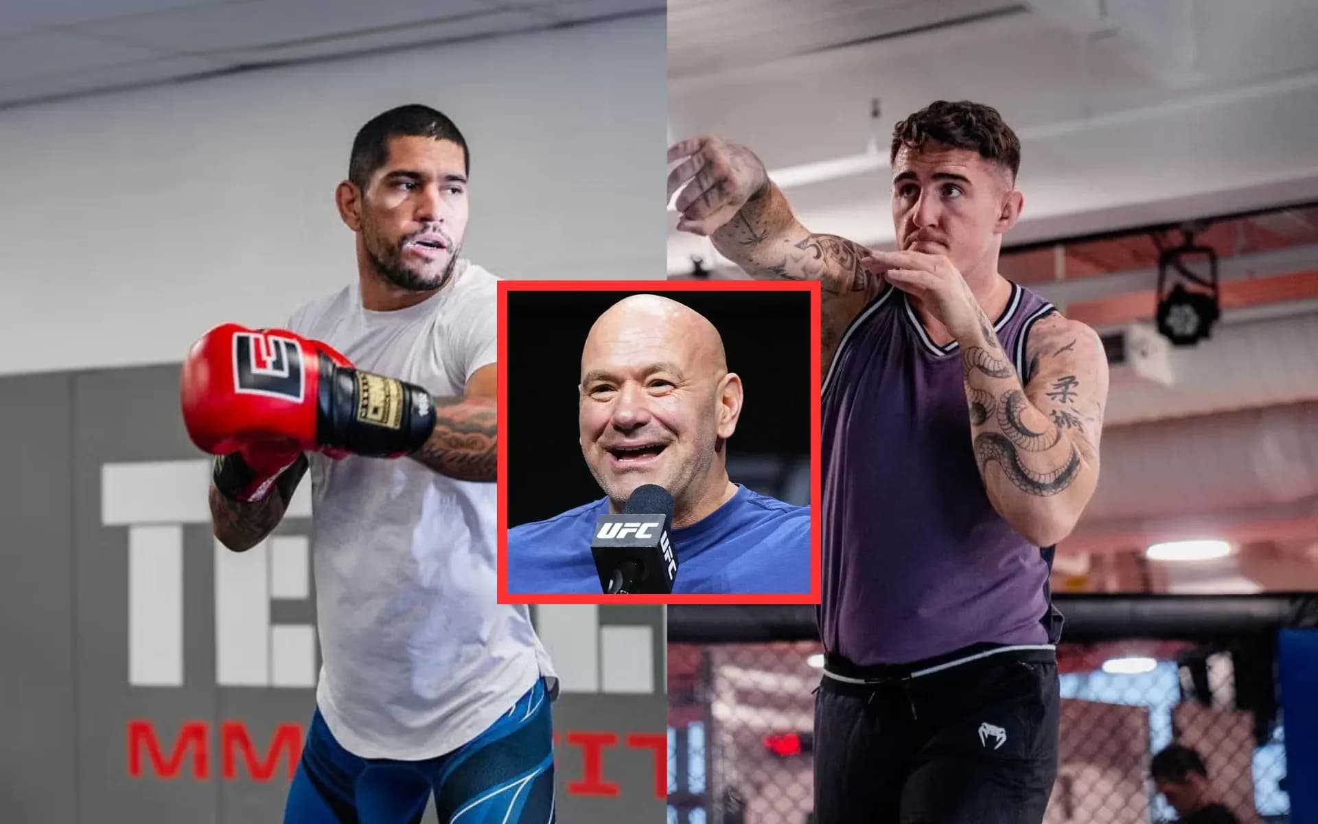 Dana White has addressed the oft-discussed Alex Pereira vs. Tom Aspinall fight 