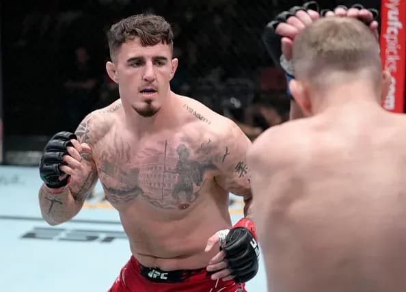 MMA article image