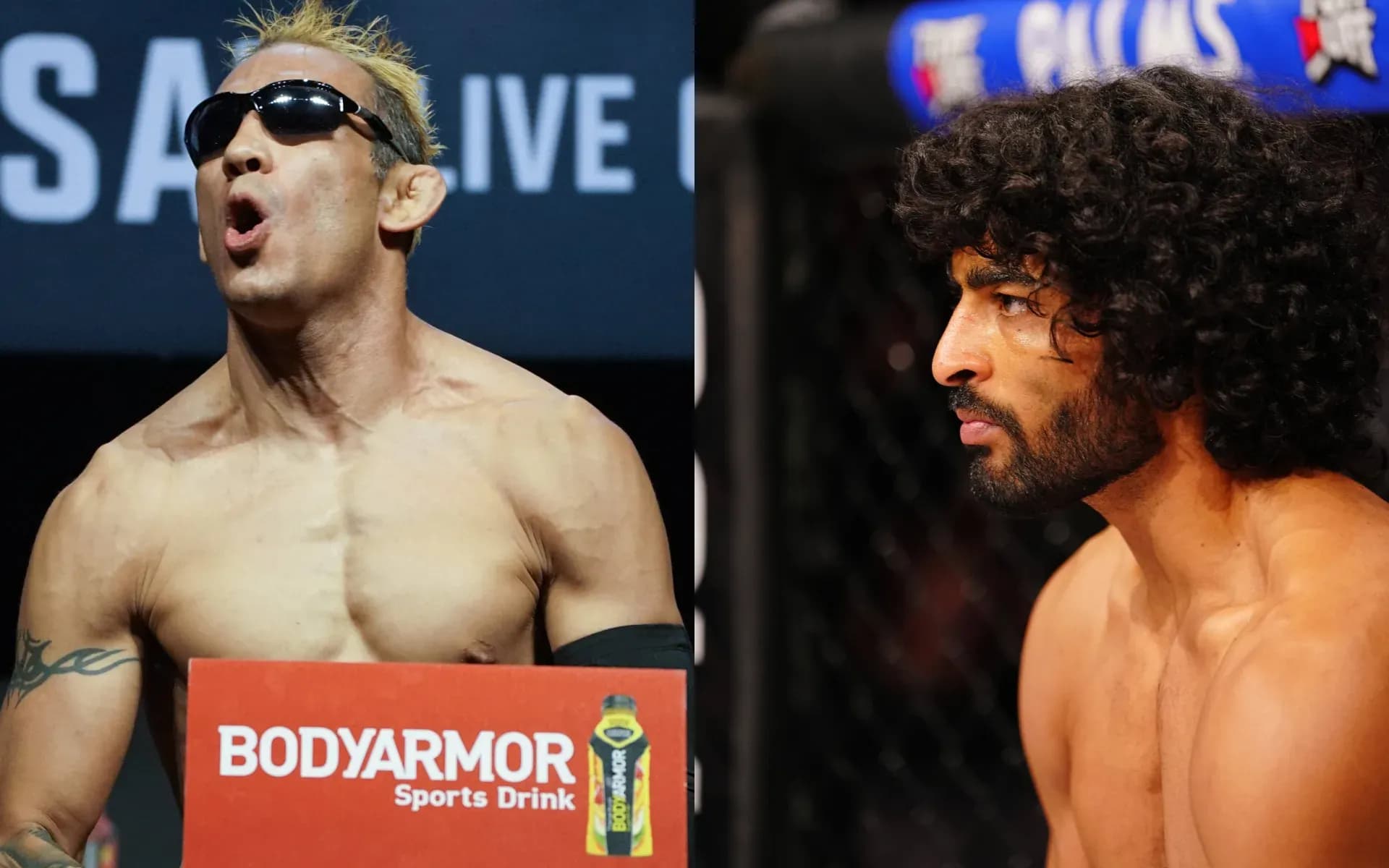 Tony Ferguson and Mahmoud Sebie