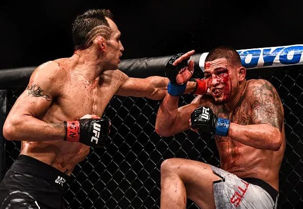 MMA article image