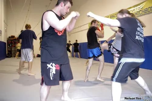 MMA article image