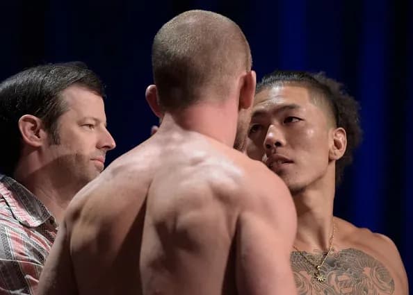 MMA article image