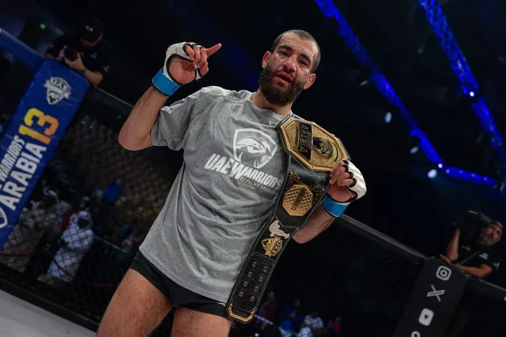 MMA article image