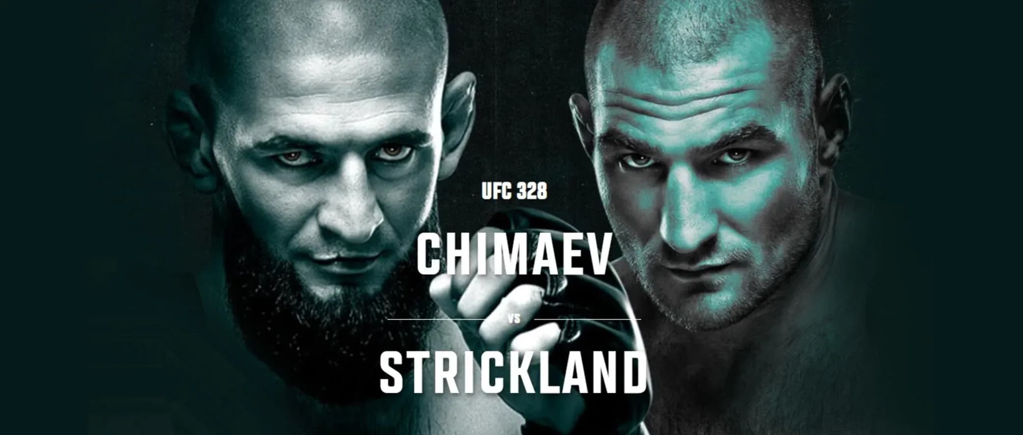 UFC 328 image