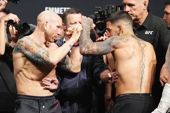 MMA article image