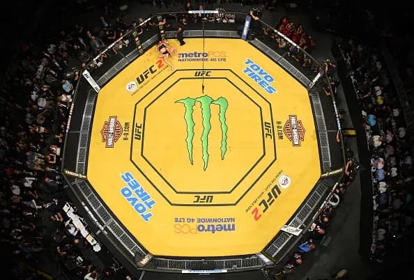 MMA article image