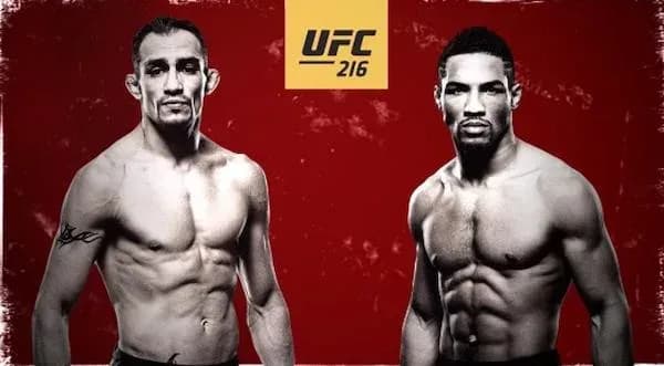 MMA article image