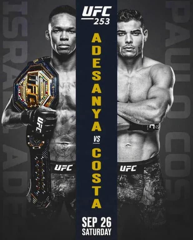 UFC 253