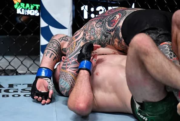UFC 259