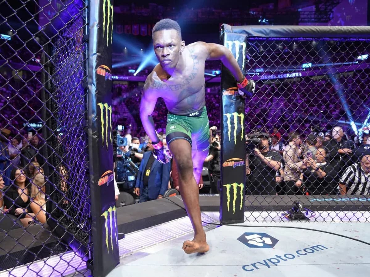 UFC 281 Preview