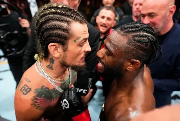 MMA article image