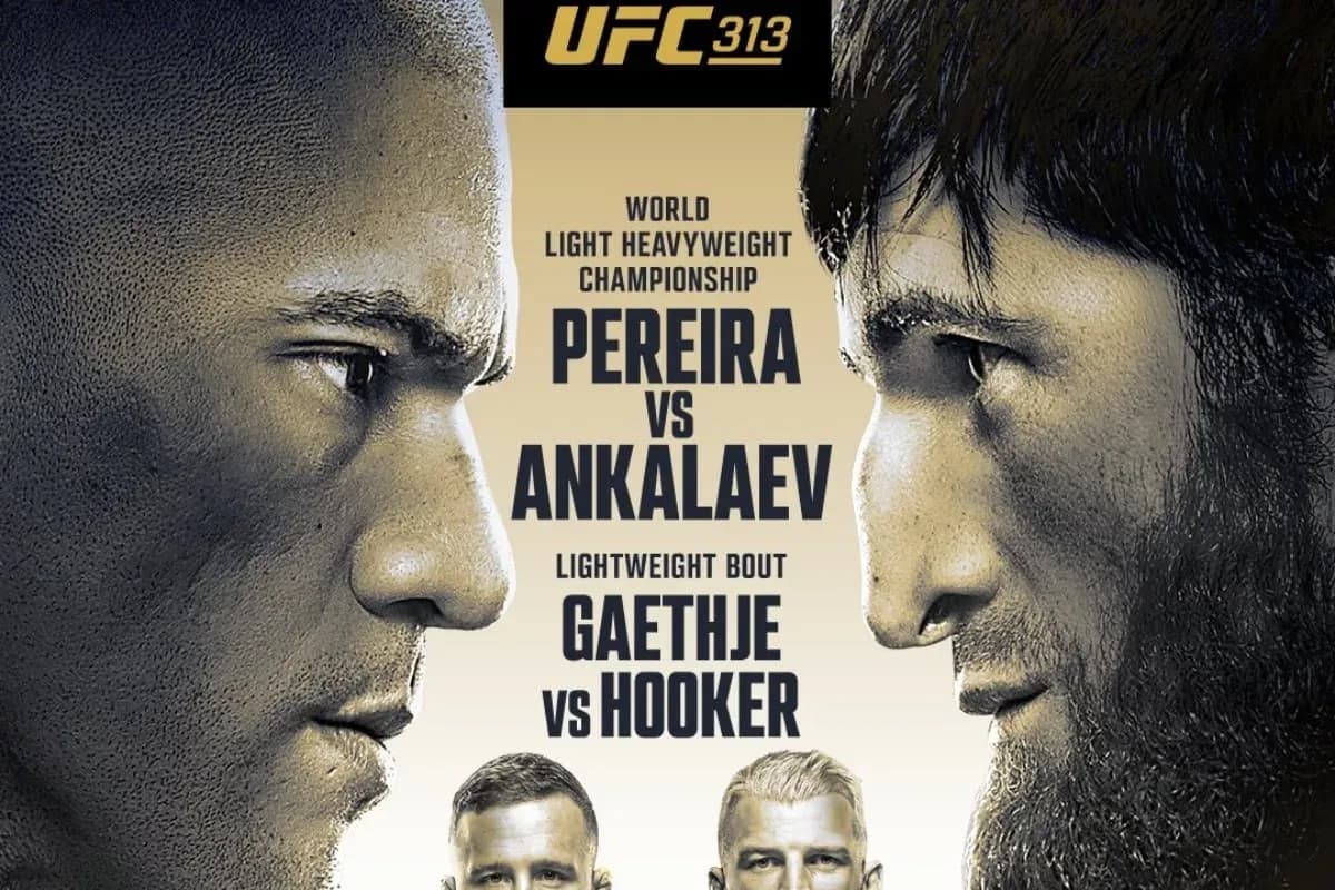 MMA article image