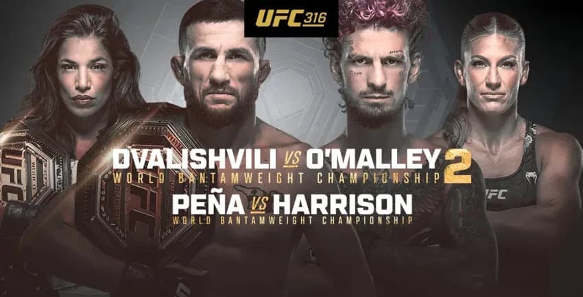 UFC 316 betting tips