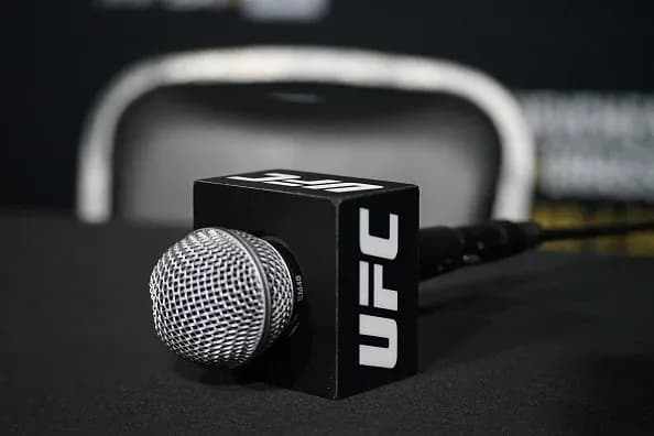 UFC 295