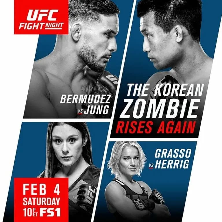 MMA article image