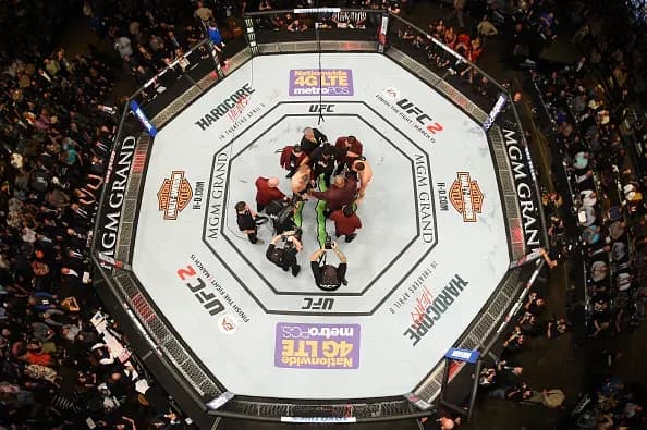 MMA article image