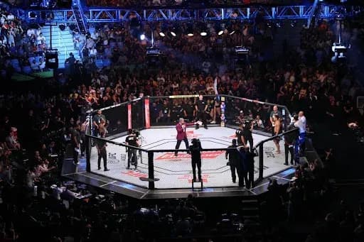 UFC Octagon - MMA Fights - Crypto in MMA -UFC Judges
