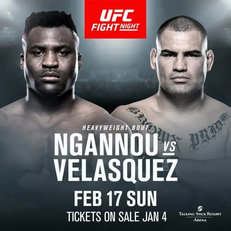 MMA article image